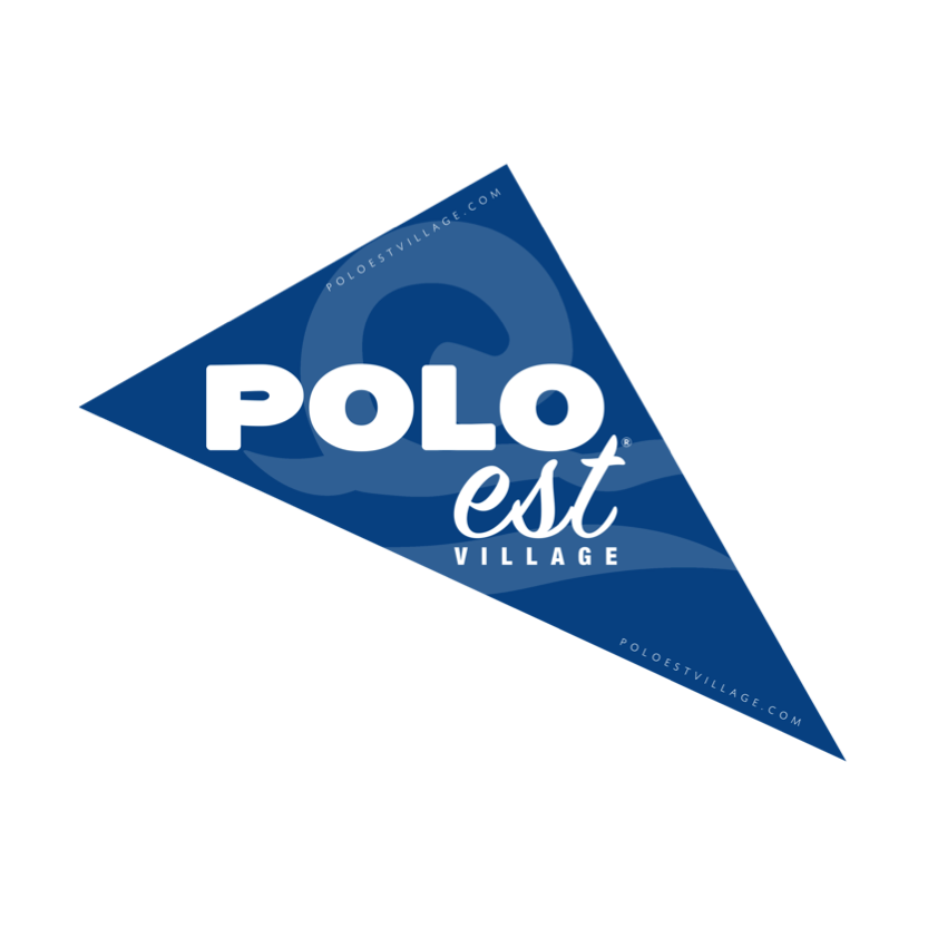 POLO_INSUBRIA